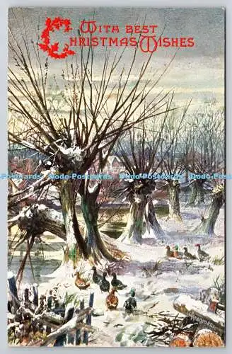 R772368 Mit Besten Weihnachtswünschen Enten Wald Winterlandschaft Tuck Oilette 90