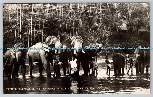 R774911 Ceylon Temple Elephants at Katugastota River near Kandy Plate Ltd No 32