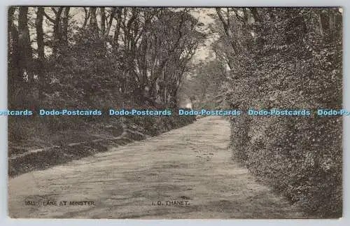 R774972 Spur bei Münster I O Thanet Postkarte 1905