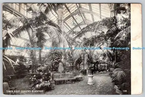 R775505 Blackpool Tower Roof Gardens Postkarte