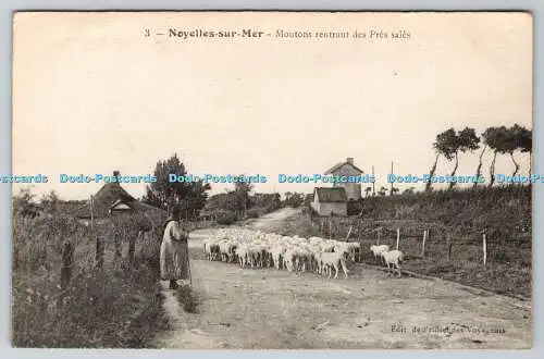 R774122 Noyelles sur Mer Moutons Rentrant des Pres Sales Hotel des Voyageurs Cat