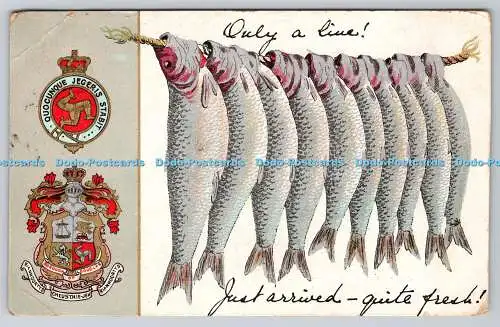 R774123 Gerade eingetroffen ziemlich frisch Fische Manx Kamera Serie Postkarte 1907