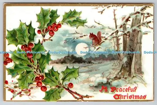 R774248 A Peaceful Christmas Raphael Tuck and Sons Holly Post Cards Series No 10