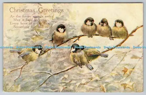 R774297 Weihnachtsgrüße Vögel auf dem Ast Raphael Tuck und Söhne Oilette Pos