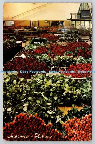 R776005 Holland Aalsmeer Interior Flower Auction Bloemenlust W G Buis