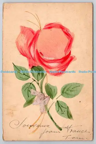 R776252 Rose Postkarte