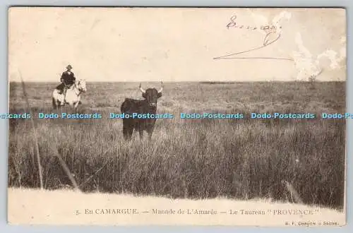 R774624 En Camargue Manade de l Amaree Le Taureureau Provence B F