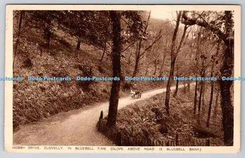 R774697 Hobby Drive Clovelly in Bluebell Time Slope oberhalb der Straße ist Bluebell Bank