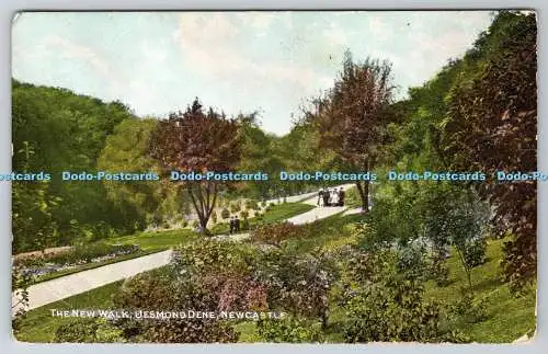 R774871 Newcastle Jesmond Dene The New Walk T H Dickinson 1907