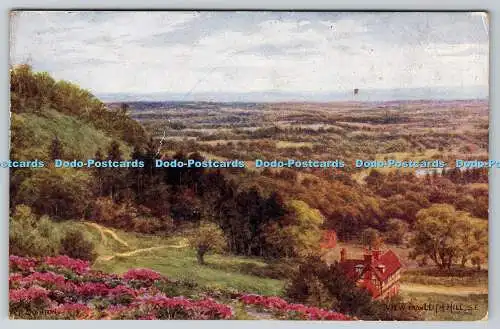 R776643 Blick vom Leith Hill J Salmon Sevenoaks England A R Quinton