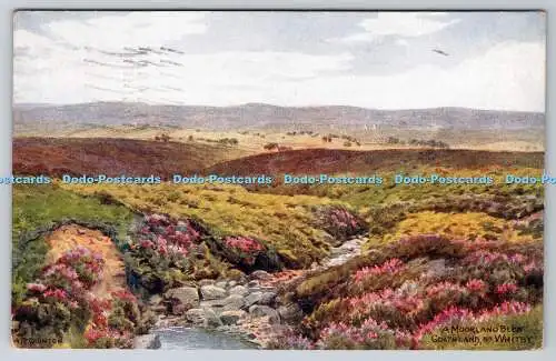 R776834 A Moorland and Beck Goathland Nr Whitby J Salmon Sevenoaks England A R Q