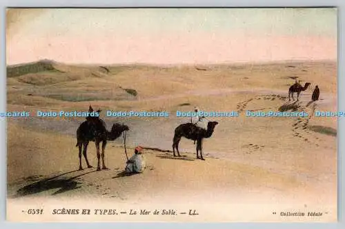 R775487 Scenes et Types La Mer de Sable LL 6531 Collection Ideale Levy Fils et C