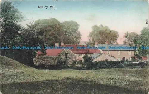 R678156 Ridley Mill. Ruddock. Postkarte