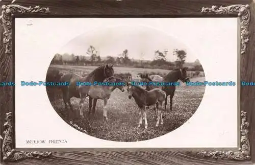 R677273 Wiesenfreunde. Rotary Real Photographic Opalette Serie. 1910