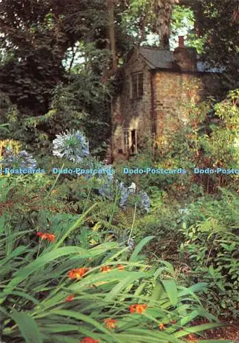 D111886 Abbotsbury. Die Bothy. Sub Tropical Gardens. Jarrold