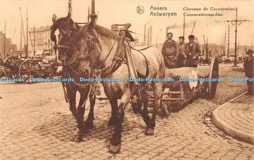 R386831 Anvers Chevaux de Corporation Edouard Nels Ernest Thill