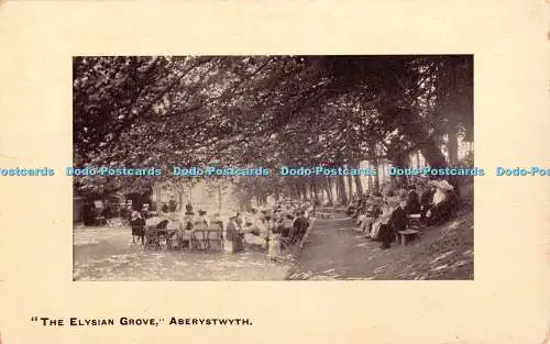 R385557 Aberystwyth The Elysian Grove Postkarte