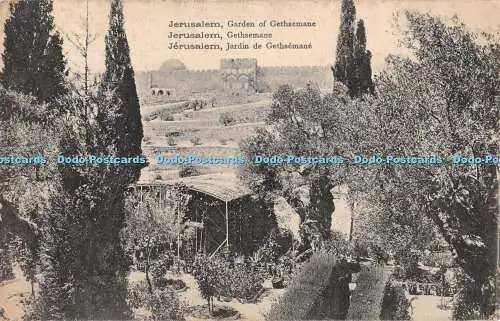 R385563 Jerusalem Garden of Gethsemane Edition Fr Vester No 122