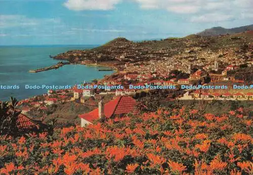 D125665 Funchal Madeira Westernansicht Hans Huber F Ribeiro
