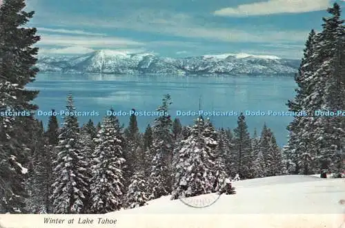 D121627 Winter at Lake Tahoe Brent 1978 Reno Tahoe Specialty Inc 1980