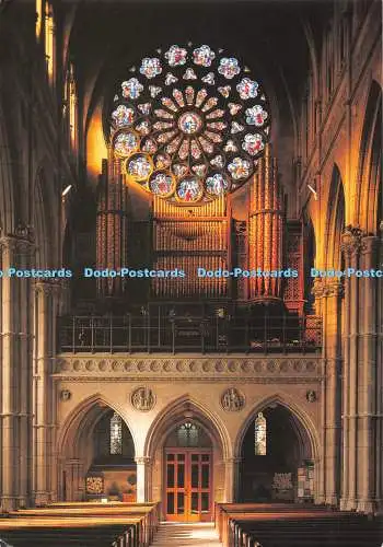 D123609 Arundel Kathedrale Rosenkranz Fenster und Orgel Design und Druck Blenden von