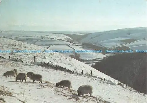 D121633 5 Malmsmead von County Gate Winter Exmoor National Park Minehead Kamera