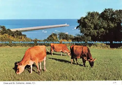 D131091 Jersey Cows and St Catherine E T W Dennis Leader Sales