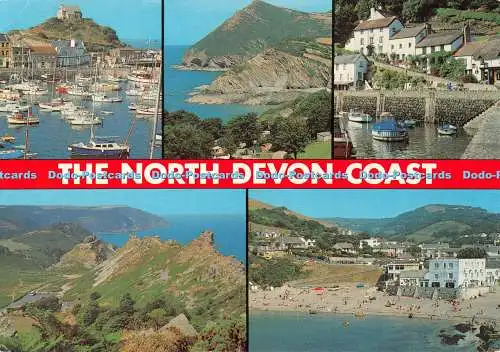 D120494 North Devon Coast Salmon 1994 Multi View