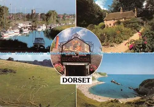 D120185 Dorset Hinde 1991 Multi View