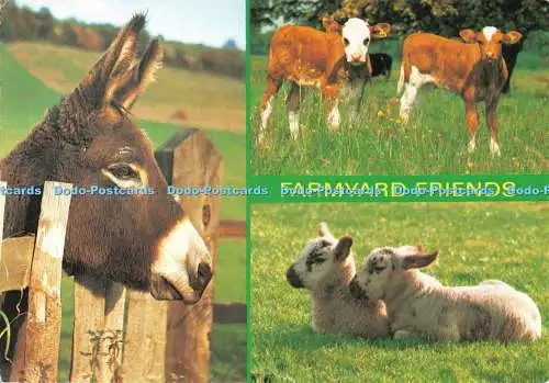 D120338 Farmyard Friends Salmon 1988 Multi View