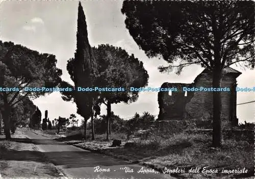 D122732 Roma Via Appia Sepolcri Dell Epoca Imperiale Enrico Verdesi Fotocelere R