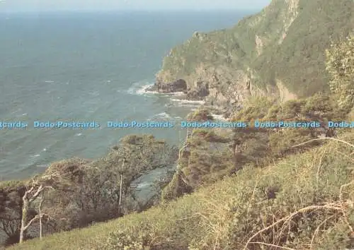 D123126 11 Exmoor Coastline at Lee Bay Dulverton Camera Club Bigwood and Staple