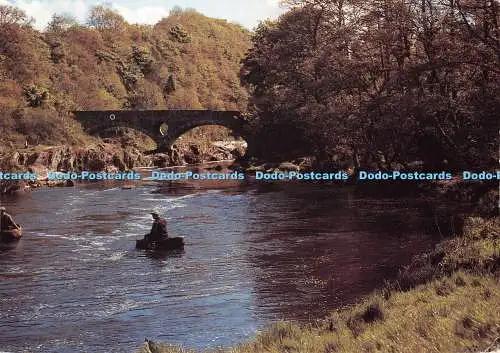 D123227 Cenarth Falls near Cardigan Coracle Men Judges C981