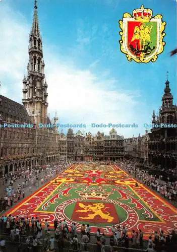 D121305 Brüsseler Marktplatz Blumenteppich Ern Nels Thill