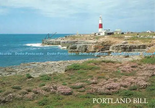 D123337 Portland Bill and Lighthouse Salmon