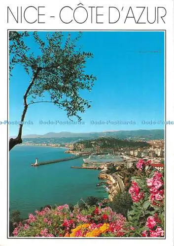 D125396 Schöne Cote D Azur Le Port et la Baie des Anges Giletta Carterie