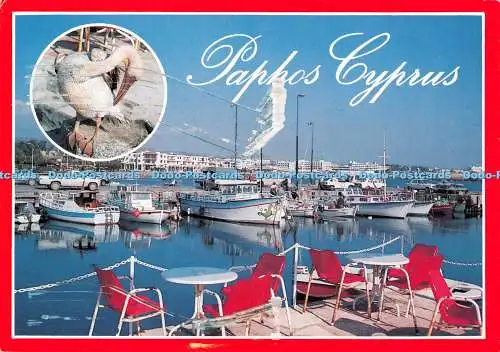 D128278 Paphos Zypern Fischereihafen K N Papadopoulos Händler Mehransicht