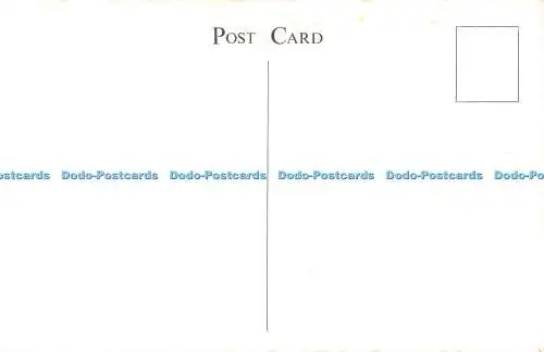 D125496 Save Our Churches The Norfolk Society Committee for Country Churches The