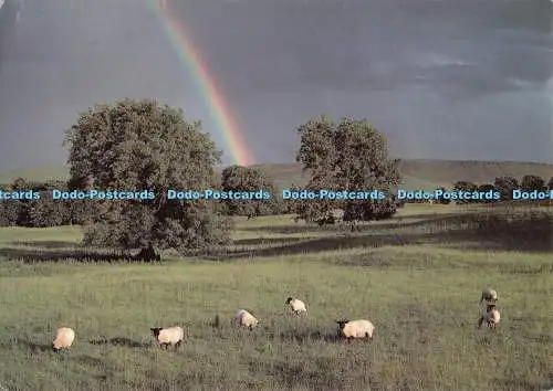 D125616 Regenbogen über Thorpe Fell Dalescape Karten David Green