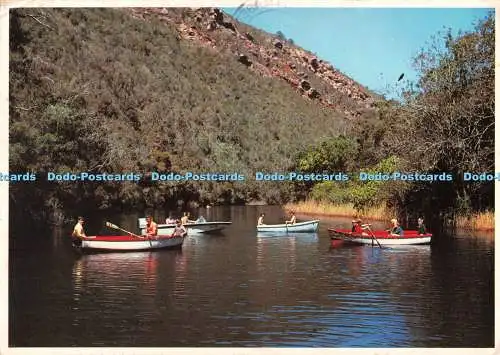 D128459 Wilderness Cape Province Happy Holiday Makers Arthur English Prints A B