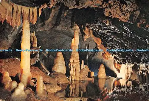 D125890 Cheddar Aladdin Cave Gough Caves J Arthur Dixon