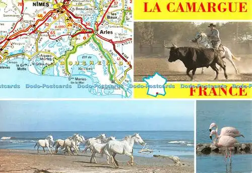 D128933 La Camargue France Terre des grands espaces Gardian Taureau Chevaux et F