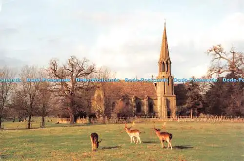 D124154 Warwickshire St Leonard Church Charlecote The Postcard Company K Gardene