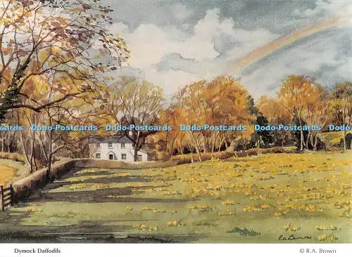 D124190 Dymock Narzissen James Hopkins Trust Jennings Drucker R A Braun