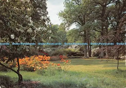 D124275 East Sussex Sheffield Park Garden J Arthur Dixon