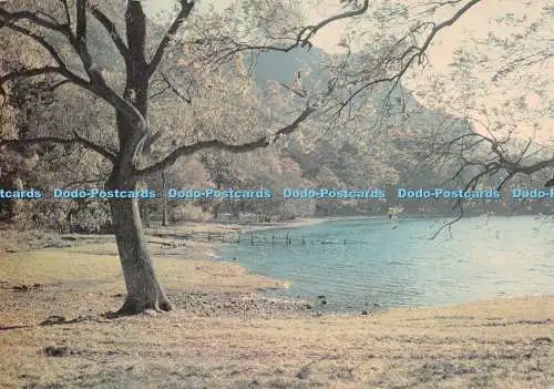 D124312 Cumberland Derwentwater in der Nähe von Broomhill Point J Arthur Dixon