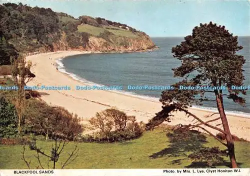 D124376 Blackpool Sands Devon Federation of Women Institutes Richter Frau L Lye