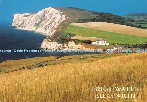 D124501 Süßwasser Isle of Wight Lachs Tennyson Daunen