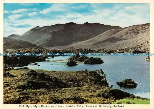 D122598 Irland McGillycuddy Reeks von Ladies View Lakes of Killarney Kill gesehen