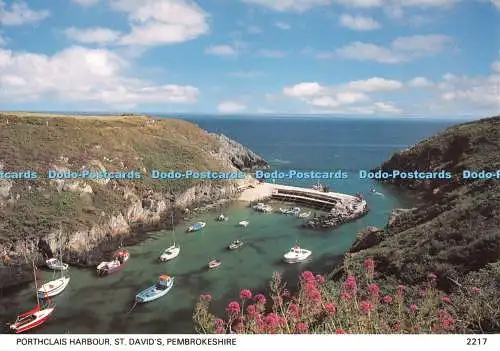 D129417 Pembrokeshire St David Porthclais Hafen Pembrokeshire Auge Postkarten